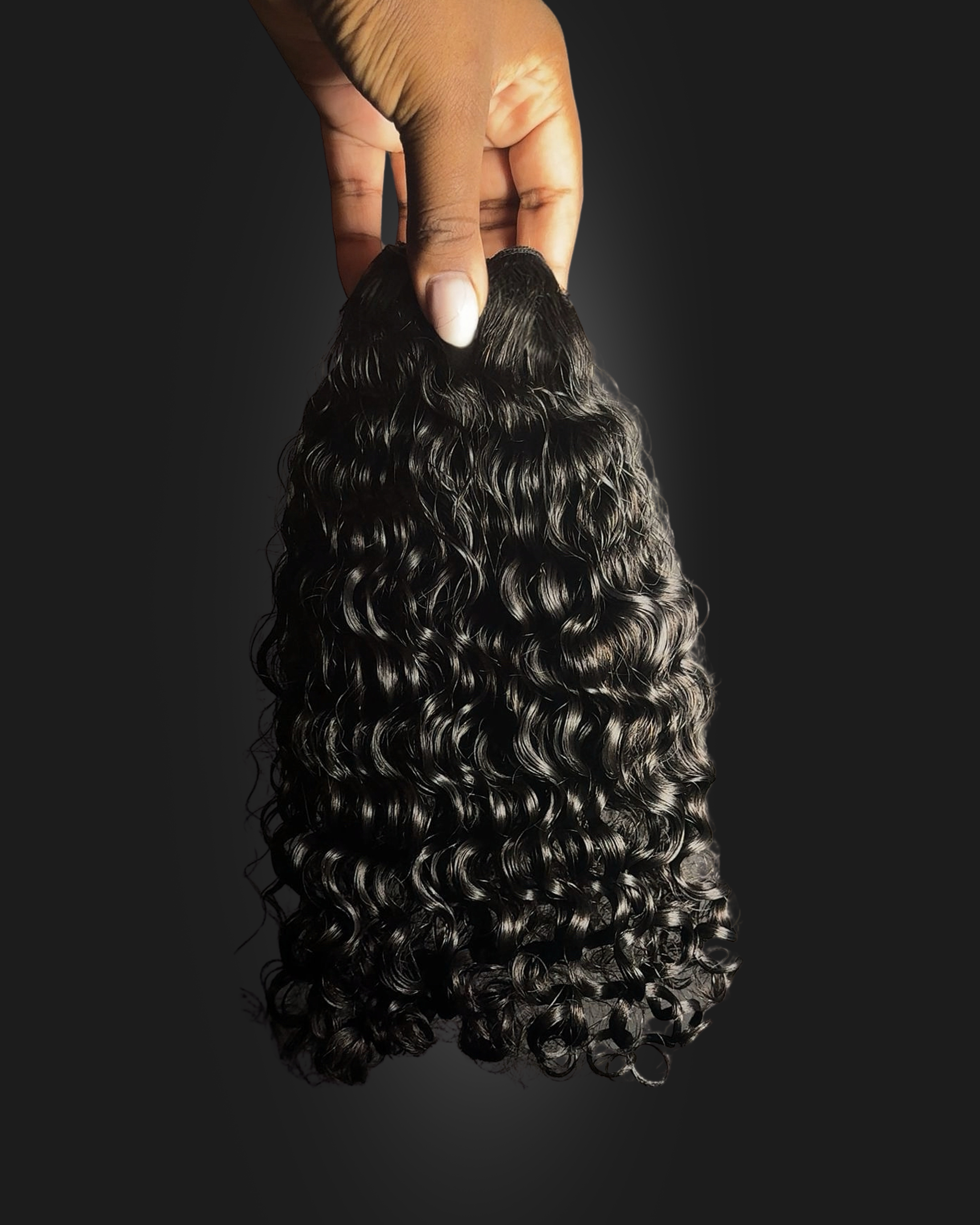 Burmese Curly